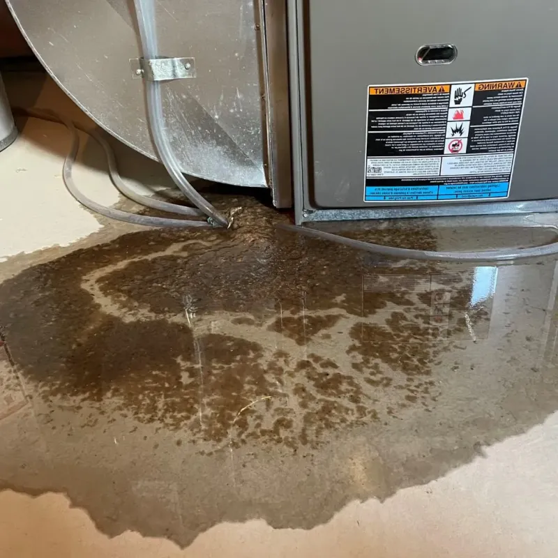 Pipe Burst and Leak Restoration in West Haverstraw, NY